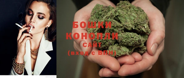 дживик Новозыбков