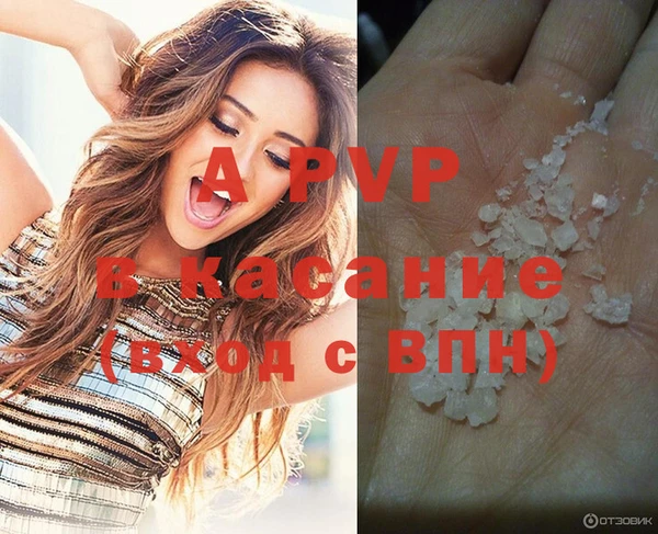 стафф Нефтекумск