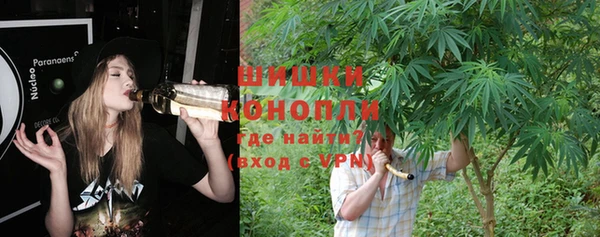 прущие крисы Новокубанск