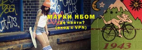 дживик Новозыбков