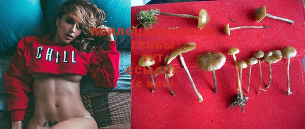 mdpv Нея