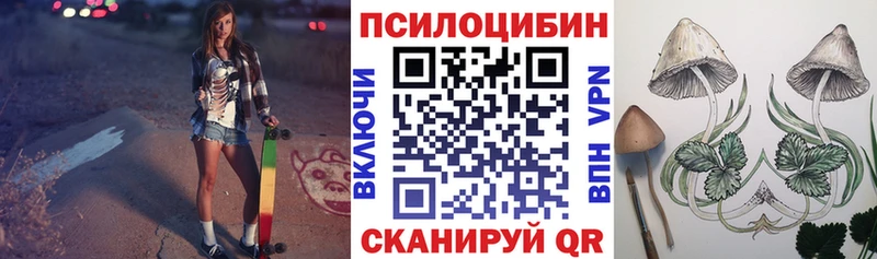 ОМГ ОМГ зеркало  Кашин  Псилоцибиновые грибы MAGIC MUSHROOMS 